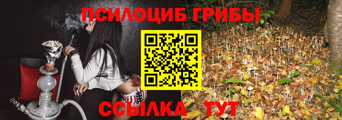 Саранск  Псилоцибиновые грибы ЛСД  Вход с VPN 