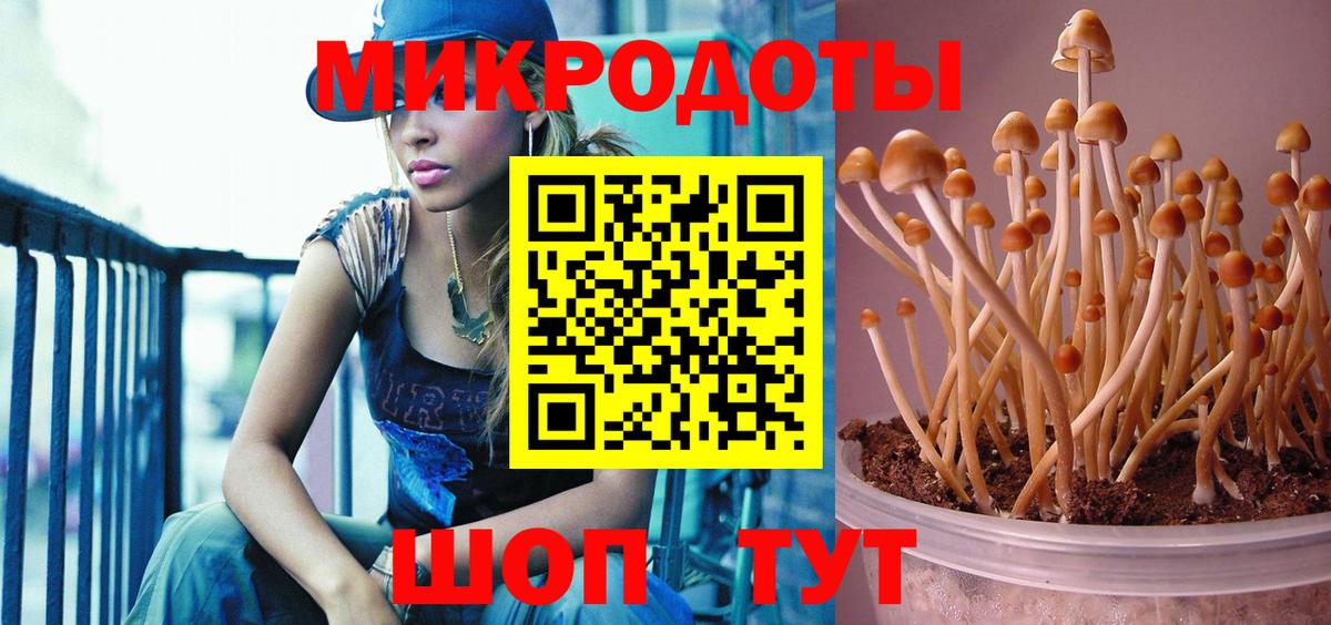 Галлюциногенные грибы мухоморы Саранск
