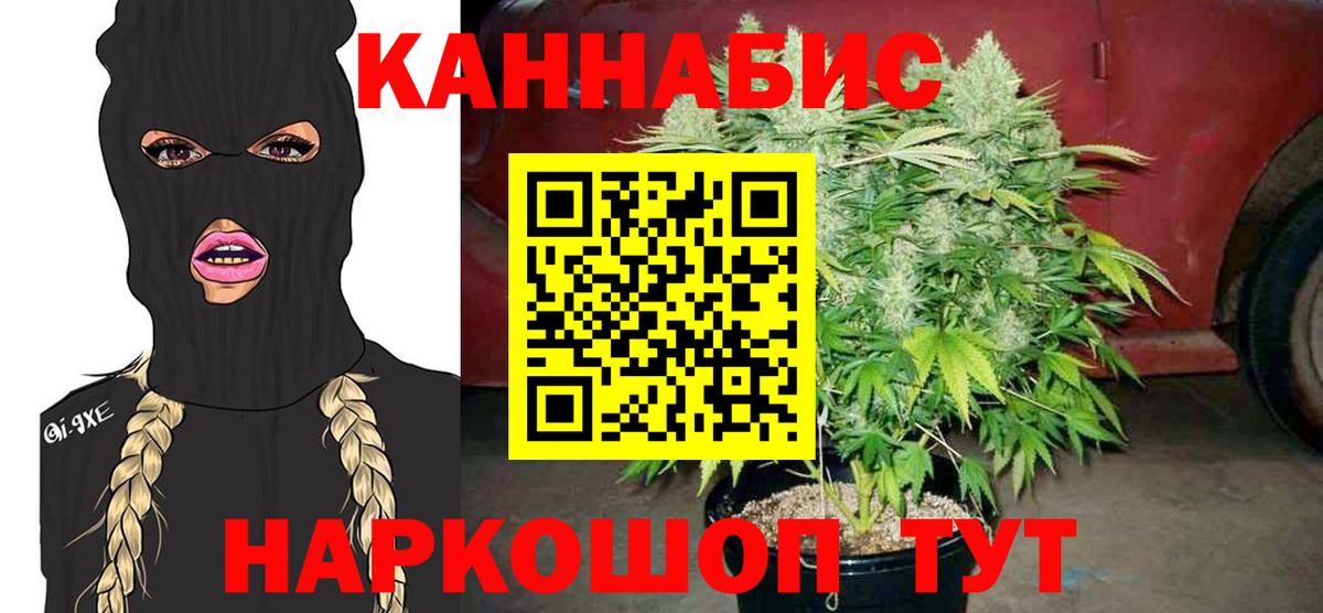 Саранск  Канабис конопля  Вход с VPN  Шишки марихуана сатива  Шишки марихуана OG Kush 
